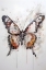 Picture of BUTTERFLY SPLASH 1