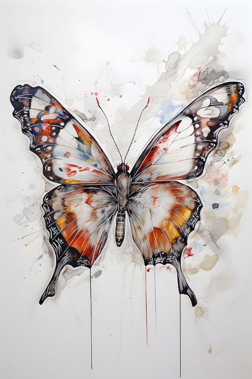 Picture of BUTTERFLY SPLASH 1