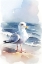 Picture of COASTAL SHOREBIRD
