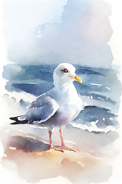 Picture of COASTAL SHOREBIRD