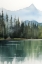 Picture of FOREST LANDSCAPE I