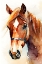 Picture of HORSE 2