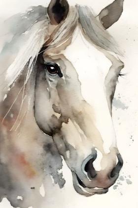 Picture of HORSE 4