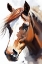 Picture of HORSE PORTRAIT 1