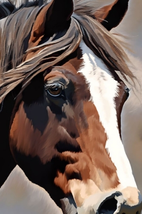 Picture of HORSE PORTRAIT 2