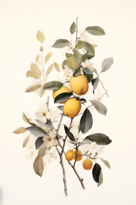 Picture of BOTANICAL FRUIT 1