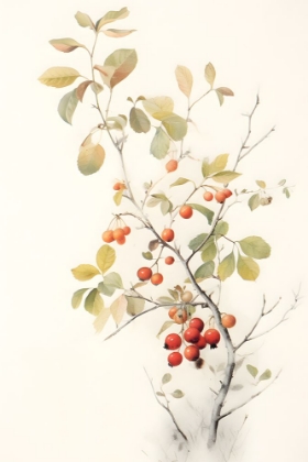 Picture of BOTANICAL FRUIT 2