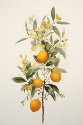 Picture of BOTANICAL FRUIT 3