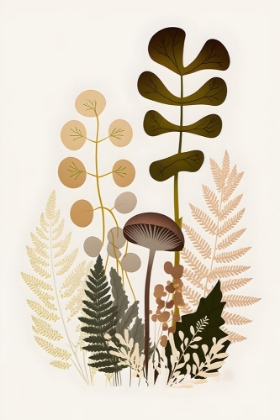 Picture of MUSHROOM AND FERN BOTANICAL 2