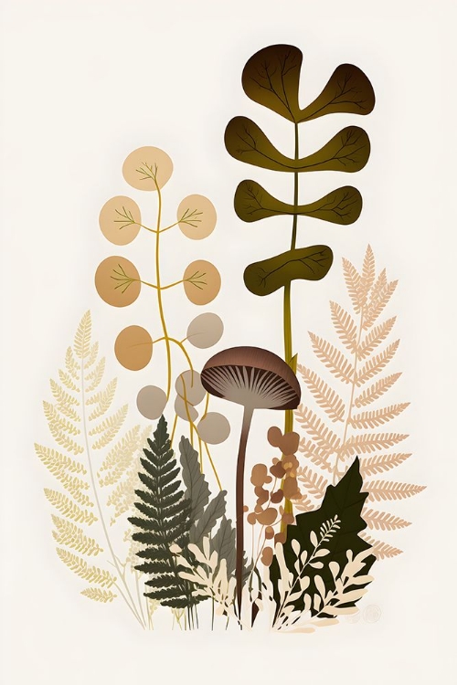 Picture of MUSHROOM AND FERN BOTANICAL 2