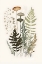 Picture of MUSHROOM AND FERN BOTANICAL 3