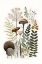 Picture of MUSHROOM AND FERN BOTANICAL 5
