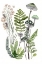 Picture of MUSHROOM AND FERN BOTANICAL 6