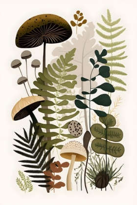 Picture of MUSHROOM AND FERN BOTANICAL 7
