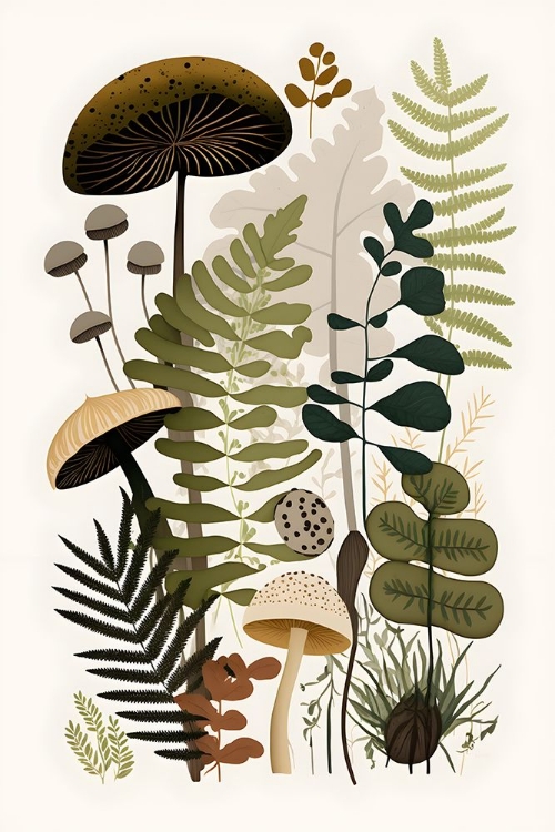 Picture of MUSHROOM AND FERN BOTANICAL 7