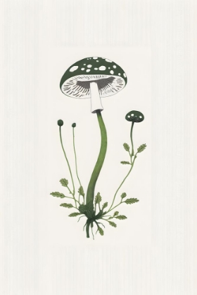Picture of MUSHROOM FOLK 5