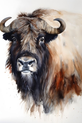 Picture of MUSK OX 1