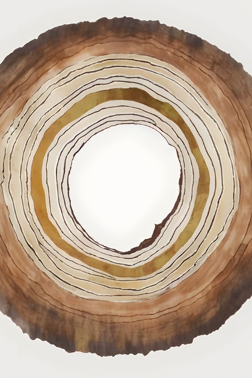 Picture of NATURE INSPIRED 16