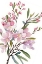 Picture of PRETTY PINK FLORALS 1