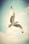 Picture of SOARING 1