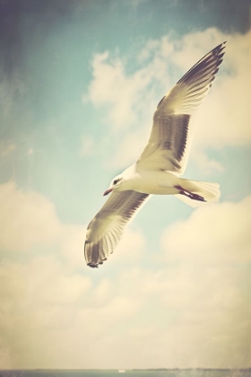 Picture of SOARING 2
