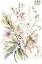 Picture of SOFT FLORAL 1