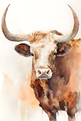 Picture of STEER 1