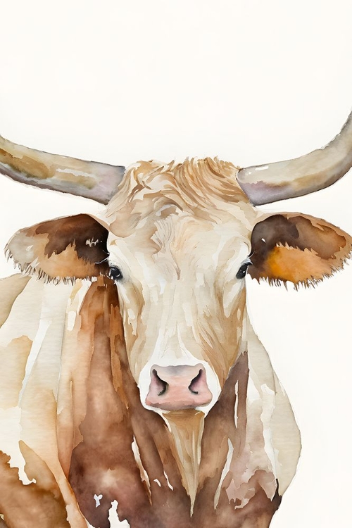 Picture of STEER 2