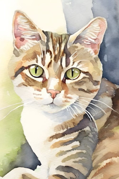Picture of TABBY CAT 1
