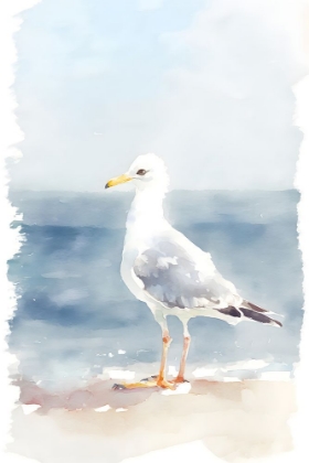 Picture of WATERCOLOR BEACH BIRD 3