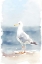 Picture of WATERCOLOR BEACH BIRD 3