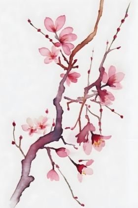 Picture of WATERCOLOR BLOSSOM 1