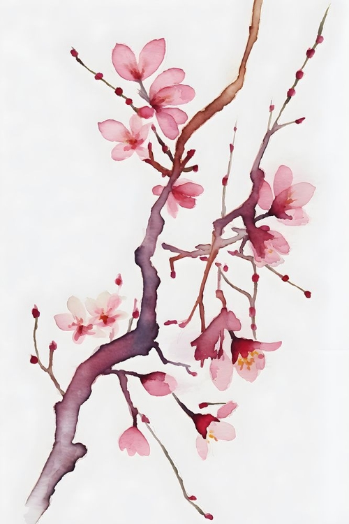 Picture of WATERCOLOR BLOSSOM 1