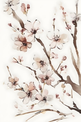 Picture of WATERCOLOR BLOSSOM 2