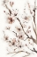 Picture of WATERCOLOR BLOSSOM 2