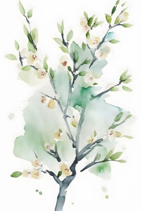 Picture of WATERCOLOR BLOSSOM 4