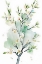 Picture of WATERCOLOR BLOSSOM 4
