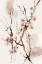 Picture of WATERCOLOR BLOSSOM 5