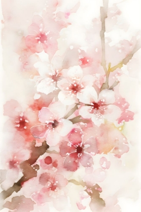 Picture of WATERCOLOR BLOSSOM 6