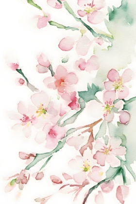 Picture of WATERCOLOR BLOSSOM 9