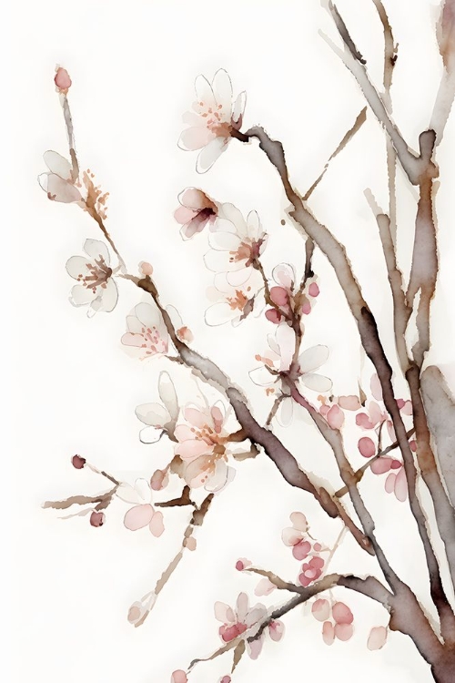Picture of WATERCOLOR BLOSSOM 11
