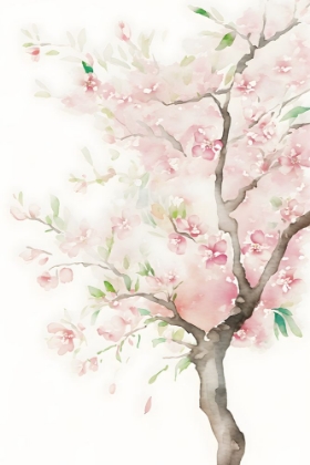 Picture of WATERCOLOR BLOSSOM 12