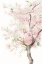 Picture of WATERCOLOR BLOSSOM 12