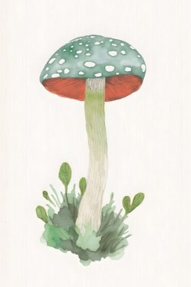 Picture of WATERCOLOR MUSHROOM 2