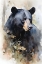 Picture of WILDERNESS BEAR 2