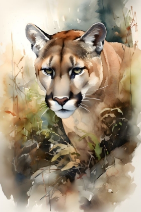 Picture of WILDERNESS COUGAR 2