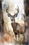 Picture of WILDERNESS DEER 1