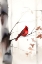 Picture of WOODLAND CARDINAL 3