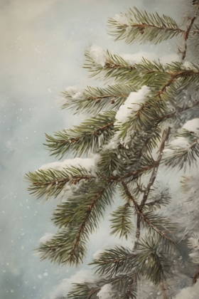 Picture of EVERGREEN NEEDLES W SNOW