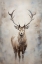 Picture of REINDEER
